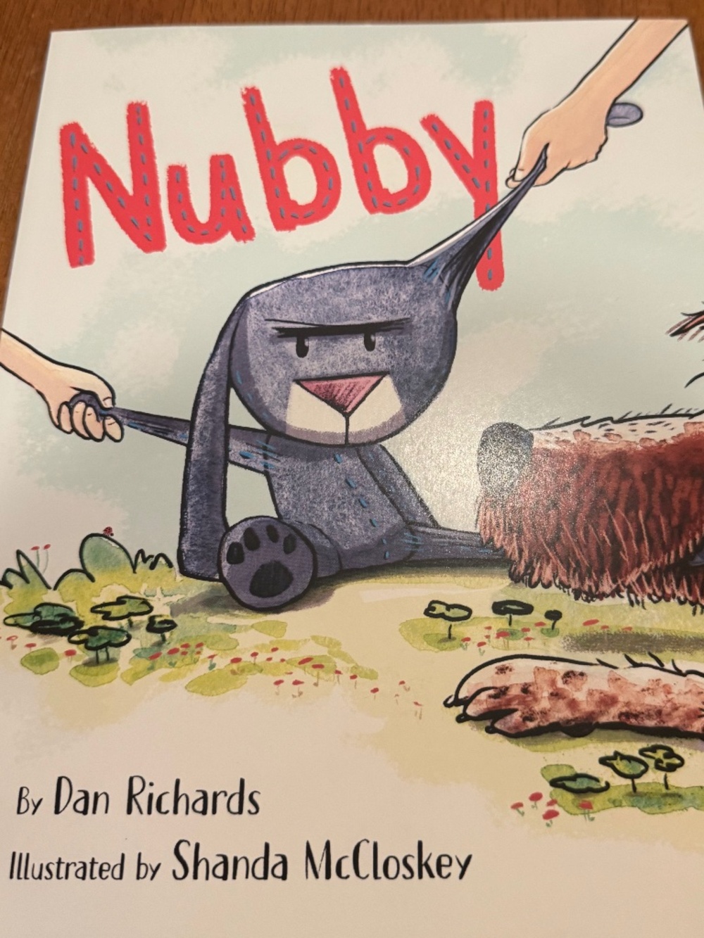 Nubby by Dan Richards | Children's Picture Book | Hardcover